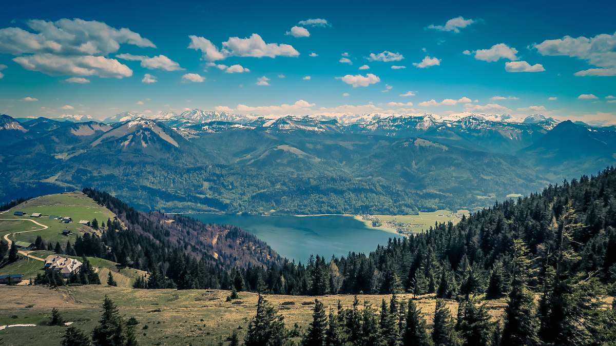 mountain range aerial photography of pine trees on mountain mountain